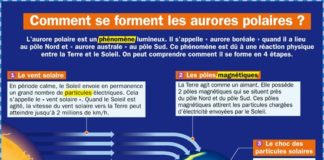 Science infographic – Comment se forment les aurores polaires ?