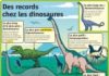 Science infographic – Des records chez les dinosaures – Le Petit Quotidien, le seul site d'informa…