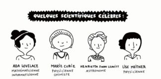 Science infographic – Dessins à colorier | Elise Gravel