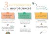 Science infographic – Educational infographic : 3 connaissances issues des neurosciences pour mieux apprendre { synthèse illustrée } – ⇥ Aurelia Visuels ⇤