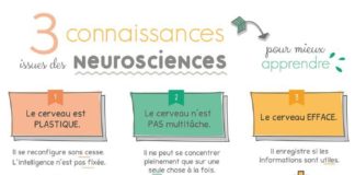 Science infographic – Educational infographic : 3 connaissances issues des neurosciences pour mieux apprendre { synthèse illustrée } – ⇥ Aurelia Visuels ⇤