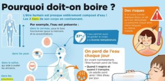 Science infographic – Educational infographic :