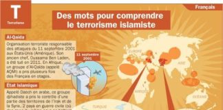 Science infographic – Educational infographic : Des mots pour comprendre le terrorisme islamiste – Mon Quotidien, le seul journa…