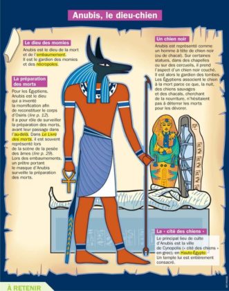 Science infographic - Educational infographic : Fiche exposés : Anubis ...