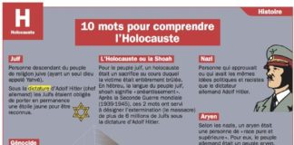Science infographic – Educational infographic : Fiche exposés : 10 mots pour comprendre l’Holocauste…