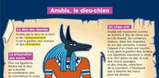 Science infographic – Educational infographic : Fiche exposés : Anubis, le dieu-chien…