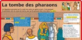 Science infographic – Educational infographic : Fiche exposés : La tombe des pharaons