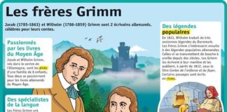 Science infographic – Educational infographic : Fiche exposés : Les frères grimm…
