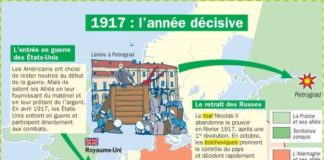 Science infographic – Educational infographic : Fiche exposés : Première Guerre mondiale : 1917 est une année décisive – enr…