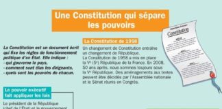 Science infographic – Educational infographic : Fiche exposés : Une Constitution qui sépare les pouvoirs…
