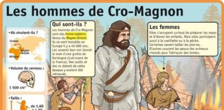 Science infographic – Educational infographic : Homme de cromagon…