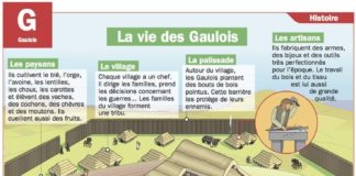 Science infographic – Science infographic – La vie des Gaulois