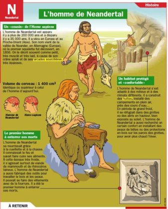 Science infographic - Educational infographic : L'homme de Neandertal ...