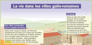 Science infographic – Educational infographic : la-vie-dans-les-villes-gallo-romaines