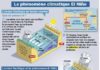 Science infographic – El Niño : sécheresses, incendies, inondations, cyclones…