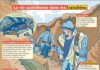 Science infographic – Fiche exposés : La vie quotidienne dans les tranchées – enregistrer directemen…