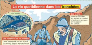 Science infographic – Fiche exposés : La vie quotidienne dans les tranchées – enregistrer directemen…