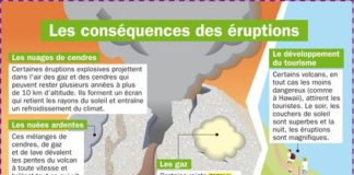Science infographic – Fiche exposés : Les conséquences des éruptions