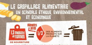 Science infographic – Gaspillage alimentaire : qui met les pieds dans le plat ?