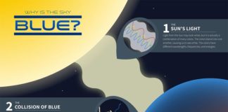 Science infographic – Have you ever wondered why the sky is blue? This infographic will explain the sc…