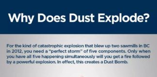 Science infographic – INFOGRAPHIC: How sawmill dust explosions happen
