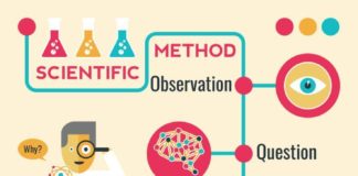 Science infographic – Illustration of Scientific Method Infographic Timeline Chart