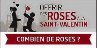 Science infographic – Image drôle du jour (Offrir des roses pour la St Valentin…)