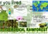 Science infographic – Infographic Nonfiction Science Mats: BIOMES