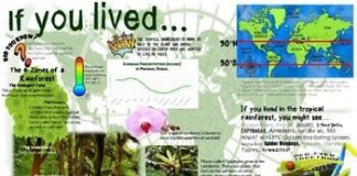 Science infographic – Infographic Nonfiction Science Mats: BIOMES