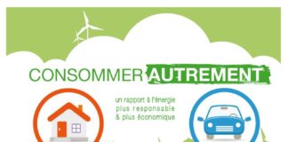 Science infographic – Infographie Cetelem : Consommer autrement pour réduire sa facture d’énergie : …
