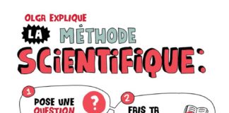 Science infographic – J’offre cette petite affiche aux parents et enseignants qui ont envie d’enco…