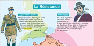 Science infographic – Science infographic – French Mood, pink, mint, kraft paper, instant download, digital paper pack, printables, scrapbooking, papercraft, card making, collage, art