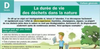 Science infographic – La durée de vie des déchets dans la nature