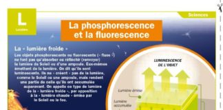 Science infographic – La phosphorescence et la fluorescence