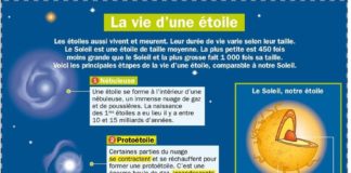 Science infographic – La vue d'une étoile