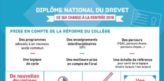 Science infographic – Le diplôme national du brevet