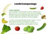 Science infographic – Le lombricomposteur