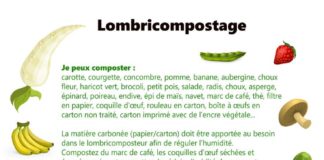 Science infographic – Le lombricomposteur
