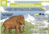 Science infographic – Le mammouth laineux, descendant du mammouth des steppes