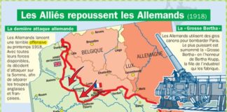 Science infographic – Les Alliés repoussent les allemands