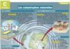 Science infographic – Les catastrophes naturelles – Mon Quotidien, le seul site d'information quot…