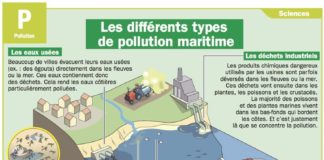 Science infographic – Les différents types de pollution maritime