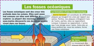 Science infographic – Les fosses océaniques