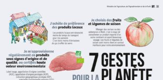 Science infographic – Les infographies