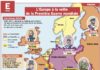 Science infographic – L’Europe à la veille de la Première Guerre mondiale