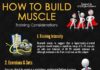 Science infographic – #Muscle #Training #Performance | How to Build Muscle? Training Tips | by @YLMSpo…