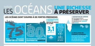 Science infographic – Océans, richesse à préserver