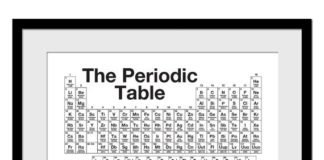 Science infographic – Periodic Table of the Elements – Chemistry Science Poster – School Poster – Teacher Gift – Typography Education Poster – Science Infographic