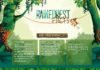 Science infographic – Rainforest Facts – Infographic