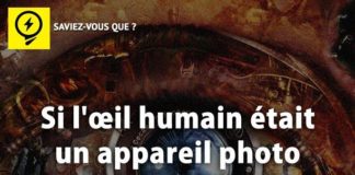 Science infographic – Saviez-vous que ? | Saviez Vous Que? | Tous les jours, découvrez de nouvelles i…